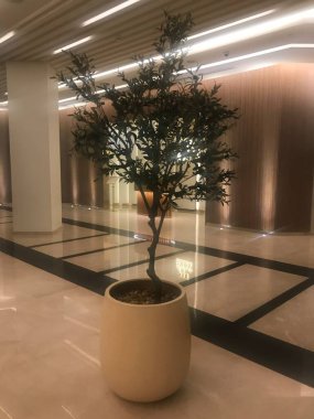 Modern bir binanın içinde.