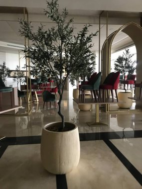 Modern bir apartmanın içinde.