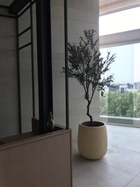 bir penceresi olan modern iç mimari