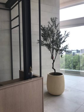 Ahşap zemin ve beton duvarlı modern iç mekan