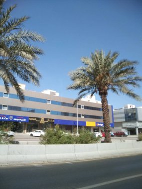 Miami, Florida, ABD-11 Temmuz 2018: Palmiye ağaçları ve mavi gökyüzü olan şehir caddesi.