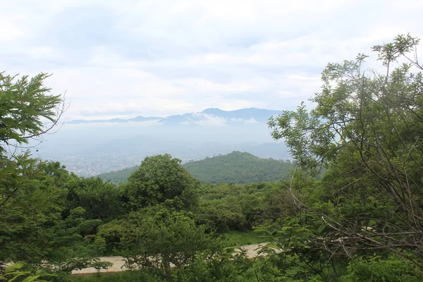 Floresta Verde Nas Montanhas — Fotografia de Stock