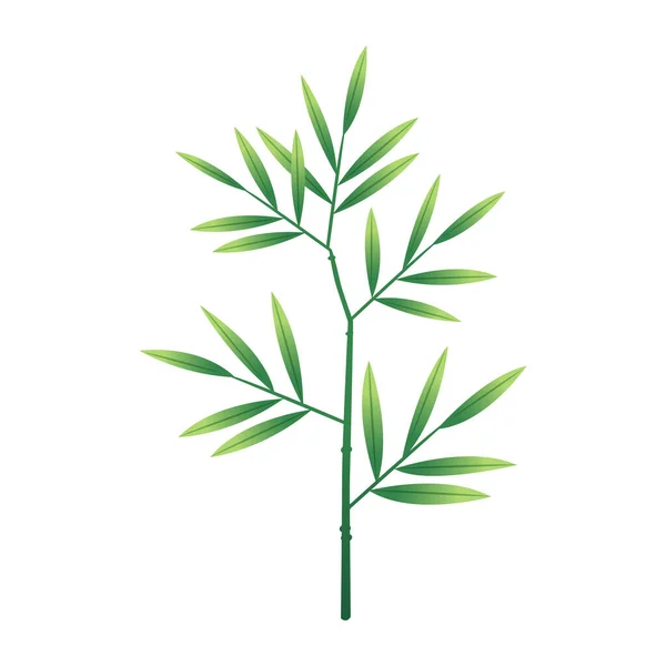 Bamboo Tree Leaf Illustration Vector — Stock Vector