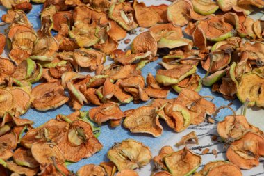 Dried apples. Homemade sun-dried organic apple slices, crispy apple chips