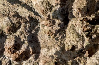 Stones texture and surface on nature background.