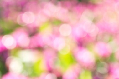 Doğa yüzeyinde renk bulanık çiçekleri.