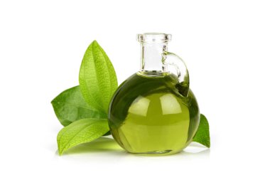 Tarçın yeşili yapraklar beyaz yüzeyde yalıtılmış yağla çıkarıldı