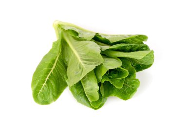 Çünkü bitkiler beyaz yüzeyde izole edilmiş..