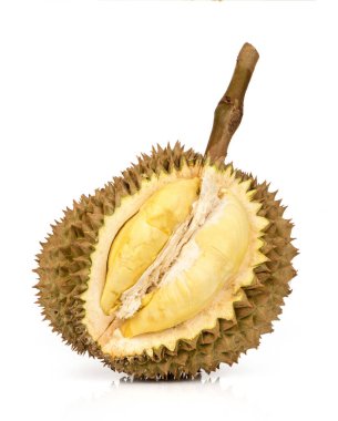 Durian veya durio meyveleri beyaz yüzeyde izole edilmiş. 