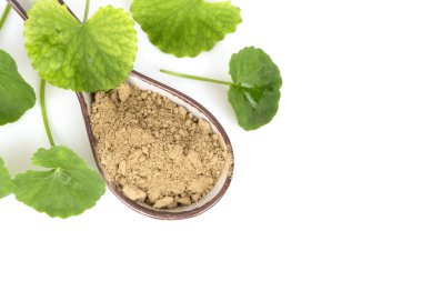 Beyaz yüzeye izole edilmiş Gotu kola veya centella asiatica yeşil yapraklar ve toz. 