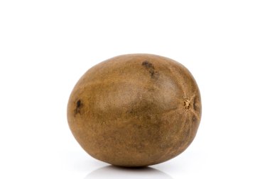 Siraitia grosvenorii fruit isolated on white background.