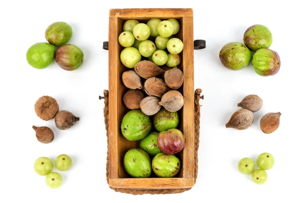 Terminalia Bellirica Terminalia Chebula Phyllanthus Emblica Isolated White Background Top — Fotografia de Stock