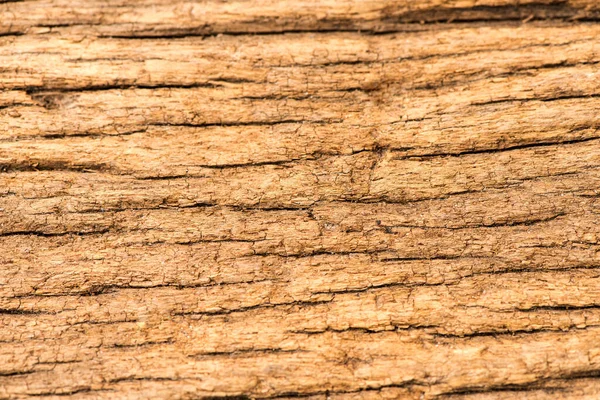 Old Plank Wood Texture Background — 스톡 사진