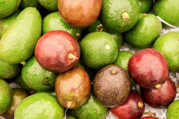 Avokado meyve deseni ve yüzey arkaplanı.