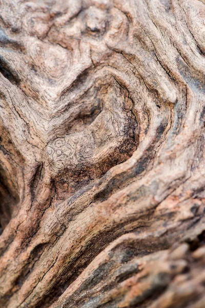 Starý Vzor Dřeva Textura Příroda Pozadí — Stock fotografie
