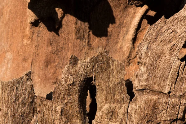 Old Wood Pattern Texture Nature Background — Φωτογραφία Αρχείου