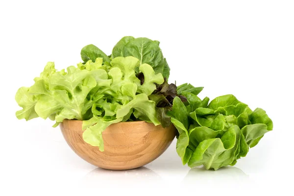 Lettuce Vegetable Isolated White Surface — Stock Fotó