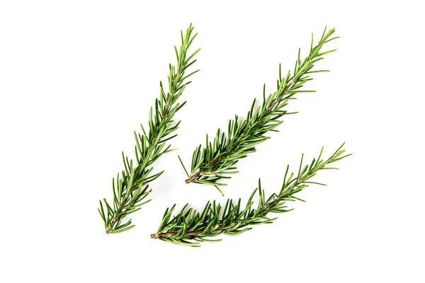 Rosemary Branch Green Leaves Isolated White Surface — стокове фото