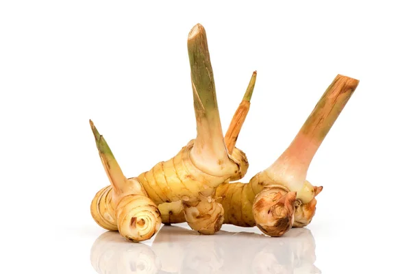 Galangal Alpinia Galanga Rhizome Isolated White Surface — Zdjęcie stockowe