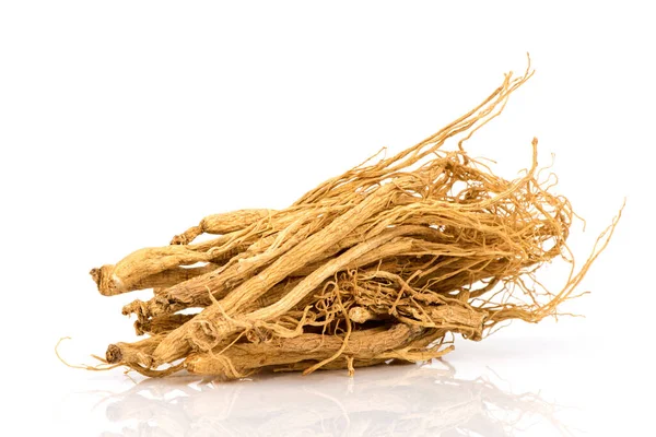 Ginseng Isolado Fundo Branco — Fotografia de Stock