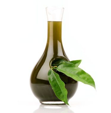 Ya-Nang thai adı veya tiliacora triandra dalı beyaz arka planda bulunan yapraklardan yeşil yapraklar ve meyve suyu..