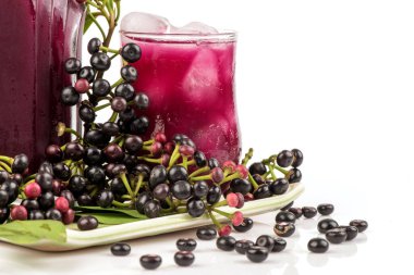 Ardisia polycephala, meyveler, yeşil yapraklar ve beyaz arkaplanda izole edilmiş meyve suyu.