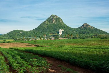 Farm, mountain and trees on nature background.