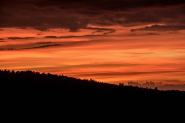Pu jakuzisi berk, lom kao bölgesi, phetchabun vilayeti, thailand.