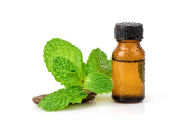 Kitchen mint or marsh mint green leaves and extracted in the bottle isolated on white background.