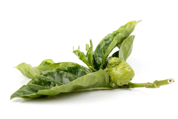 Noni Frukter Och Gröna Blad Isolerad Vit Bakgrund — Stockfoto