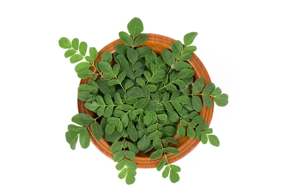 Moringa Branch Green Leaves Isolated White Background Top View Flat — Stok Foto