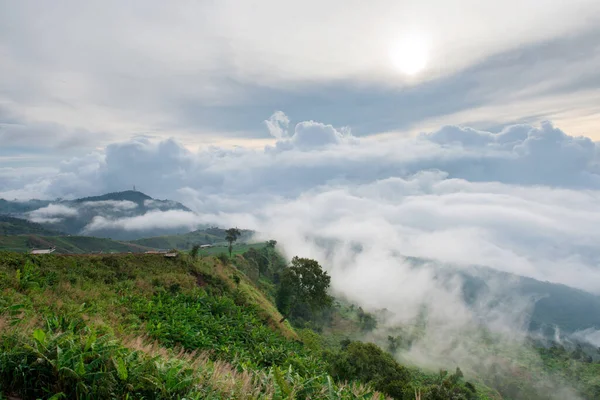 Pu jakuzisi berk, lom kao bölgesi, phetchabun vilayeti, thailand.