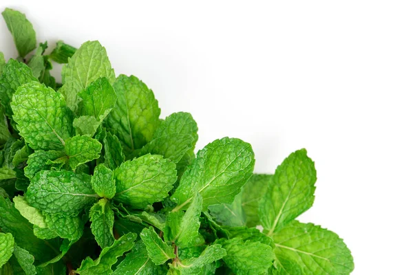 Kitchen Mint Marsh Mint Green Leaves Isolated White Background Top — Stok Foto