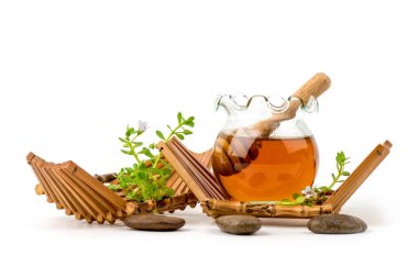 Hint penisi, brahmi, Bacopa monnieri dalı çiçeği, yeşil yapraklar ve beyaz arka planda izole edilmiş bal.