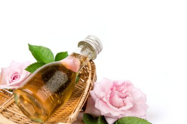 Damask gül suyu ve İspanyol gülü çiçekleri beyaz arka planda izole edilmiş.