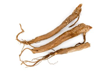 Ginseng kökleri beyaz arkaplanda izole edildi. Üst görünüm, düz yatış.
