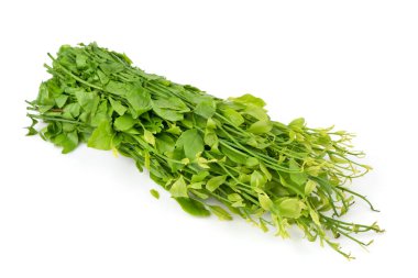 Melientha suavis Pierre dal yeşil yapraklar beyaz arka planda izole.