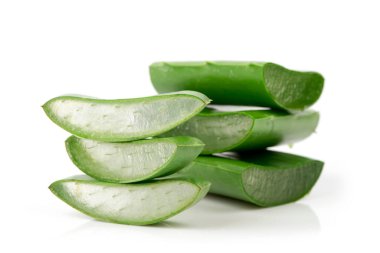 Beyaz arka plan üzerinde izole aloe vera yeşil yaprakları.