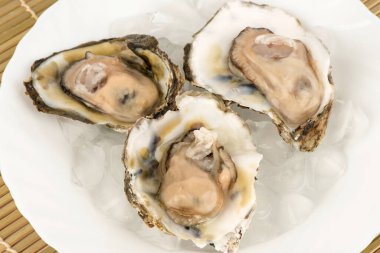 Taze istiridye beyaz arka planda izole edildi. Üst manzara, düz yatış..