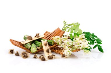 Moringa yeşil yaprakları, tohumları ve çiçekleri beyaz arka planda izole edilmiş.