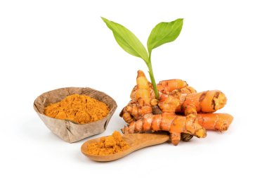 Beyaz arkaplanda izole edilmiş zerdeçal veya sokağa çıkma yasağı olan longa rizom ağaçları ve toz.