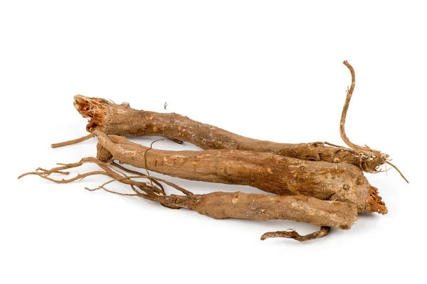 Ginseng Roots Isolated White Background — Zdjęcie stockowe