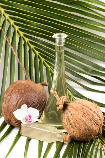 Frutas Coco Folhas Verdes Óleo Isolado Sobre Fundo Branco — Fotografia de Stock