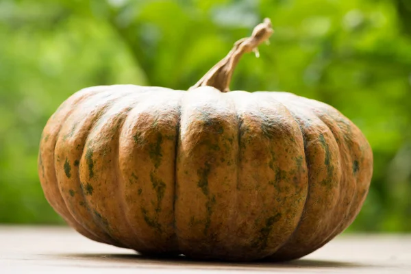 Pumpkin Fruits Natural Background — Stock Photo, Image