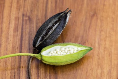 Eski ahşap arka planda taze ve kurumuş abelmosk meyveleri..