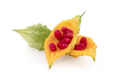 Kesme yolu ile beyaz arkaplanda izole edilmiş acı kabak meyveleri.