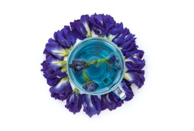 Kelebek çiçekleri ve çay beyaz arka planda izole edilmiş. Üst manzara, düz yatış..