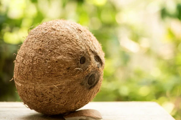 코코넛 전체가 자연의 — 스톡 사진