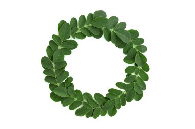 Moringa yeşil yaprakları kırpma yolu ile beyaz arkaplanda izole edildi. Üst görünüm, düz yatıyordu.