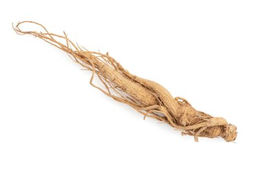 Ginseng kırpma yolu ile beyaz arkaplanda izole edildi.